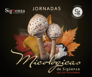 ornadas Micologicas