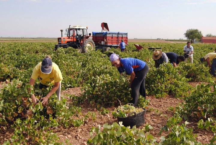 Los agricultores están que trinan con la 