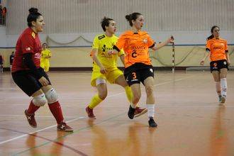 Viaxes Amarelle FSF 2 Alovera FSF 2 : Un equipo unido en un equipo más fuerte