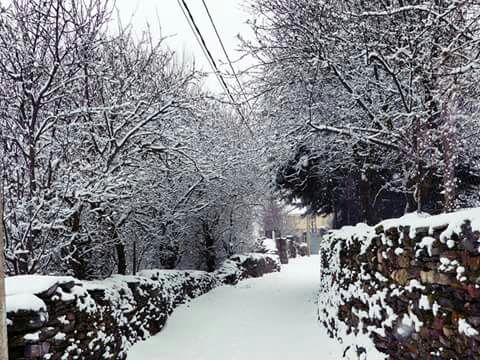 Cantalojas volvió a ver este viernes sus calles cubiertas de nieve