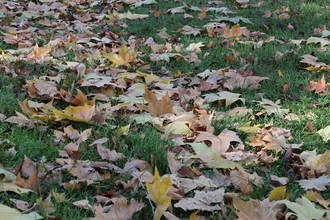 Guadalajara tendrá un sábado frío, con las mínimas en los 2ºC y las máximas apenas superarán los 14ºC