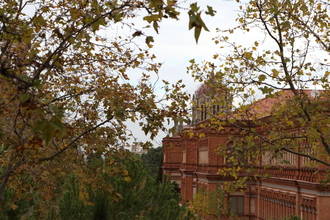 Guadalajara tendrá un jueves frío con un descenso de las mínimas hasta los 2ºC y las máximas no pasando de los 8ºC.