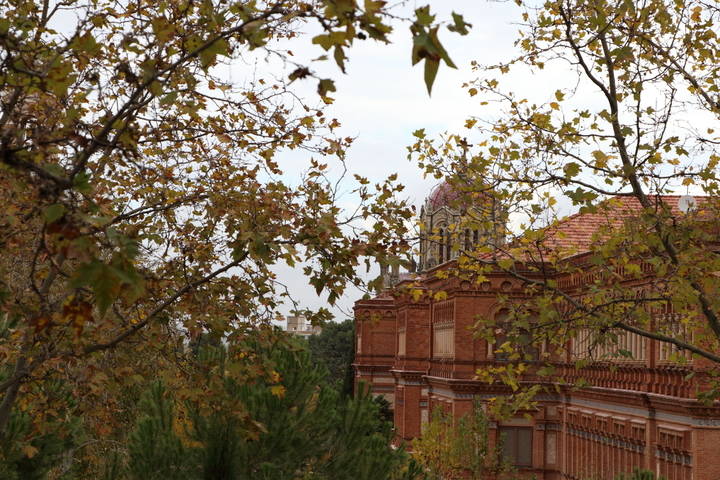 Foto : www.eduardobonillaruiz.com