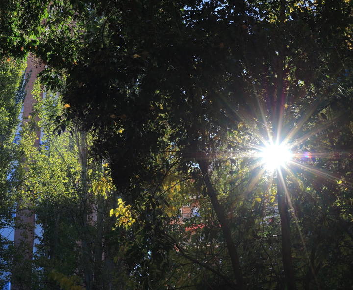 Foto : www.eduardobonillaruiz.com