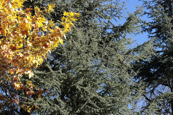 Foto : www.eduardobonillaruiz.com