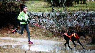 Perros y corredores llenarán el Parque del Henares en otra edición del Canicross de Guadalajara