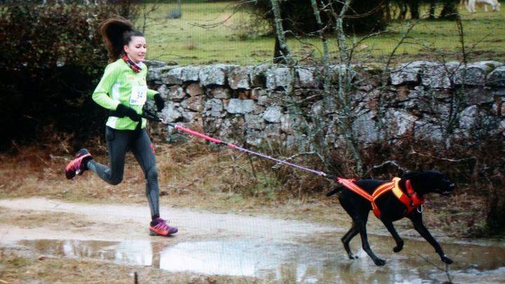 Perros y corredores llenarán el Parque del Henares en otra edición del Canicross de Guadalajara