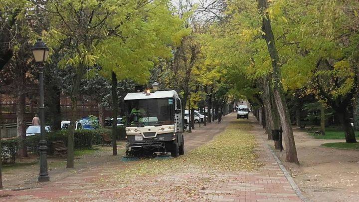 Se intensifican las labores para la retirada de las hojas de los árboles en la capital