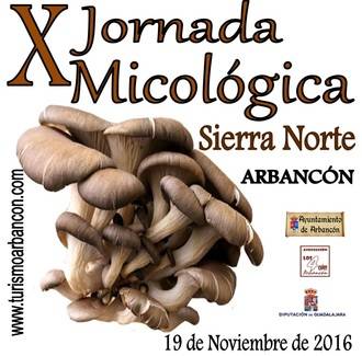 Arbancón no falta a su cita anual con las setas y los hongos