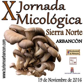 Arbancón no falta a su cita anual con las setas y los hongos