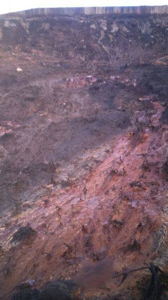 Ecologistas en Acción alerta de la situación de la zona cero del incendio de Chioeches por falta de acción de la Junta