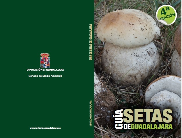 La Diputación ofrece la descarga gratuita de su 'Guía de setas de Guadalajara'