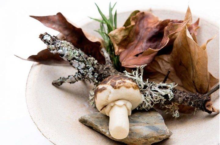 Placer Otoñal, tapa campeona del Concurso Nacional de Valladolid