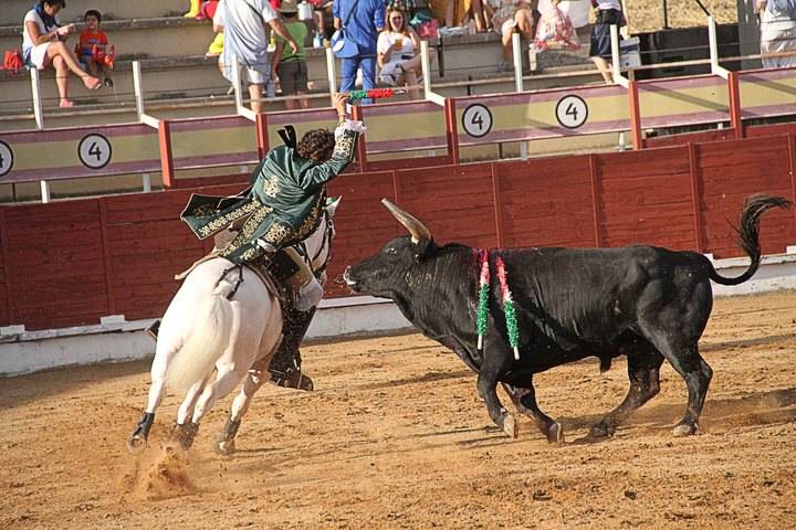 El Tribunal Constitucional anula la prohibición de los toros en Cataluña
