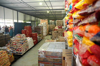 20 personas coordinadas por el Ayuntamiento de Guadalajara colaborarán en 