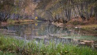 La UAH organiza un recorrido senderista por los humedales de la Cuenca Alta del Bornova