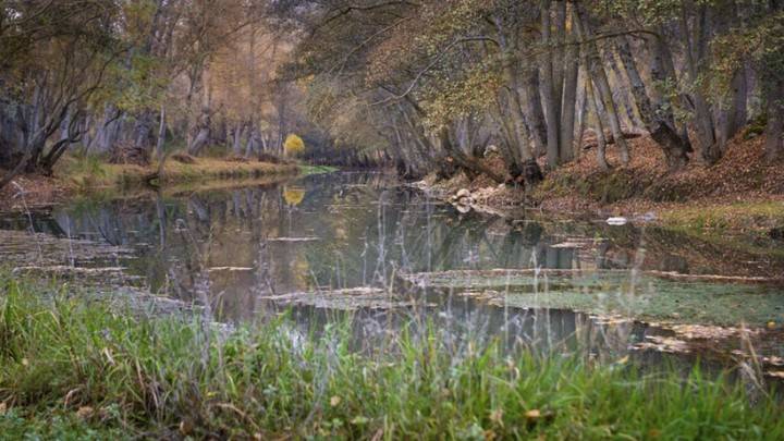 La UAH organiza un recorrido senderista por los humedales de la Cuenca Alta del Bornova