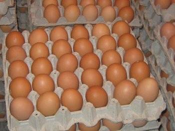 ‘Pillados’ con cientos de huevos para lanzar en la noche de Halloween en la capital