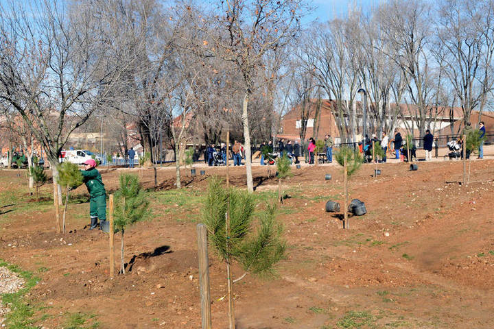 Plantados los primeros 50 árboles del proyecto 'En Azuqueca, nace un bebé, nace un árbol'