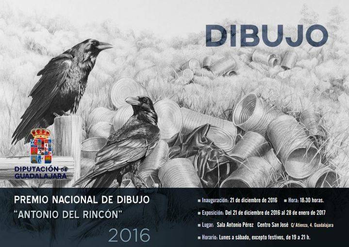 Este miércoles se inaugura la exposición con los premios de Dibujo y Fotografía 2016 de la Diputación de Guadalajara