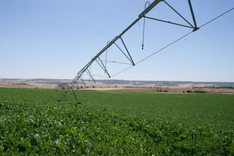 Conflicto de los regantes del Bornova con la Junta por las obras de los regantes de Cogolludo