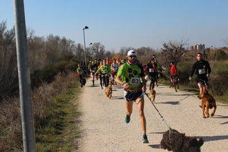 Guadalajara vibró con el mejor canicross de la provincia