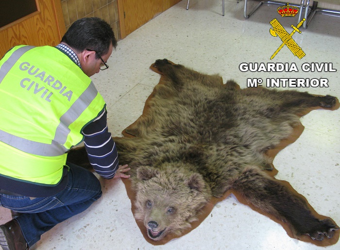 Desarticulada una red que organizaba cacerías furtivas en Guadalajara para clientes con dinero