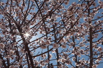 Sol, rachas de viento de hasta 32kms/h y 20ºC de máxima este martes en Guadalajara