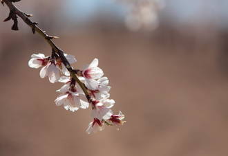 Vuelven las temperaturas primaverales este miércoles a Guadalajara : sol y el mercurio por encima de los 22ºC