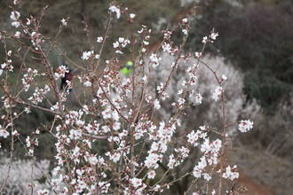 Guadalajara tendrá un viernes soleado, con cielos azules y despejados, llegando el mercurio a los 22ºC