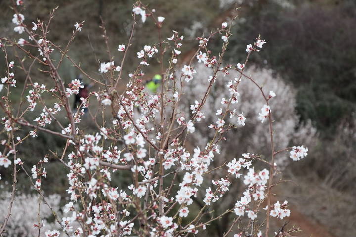 Foto : www.eduardobonillaruiz.com