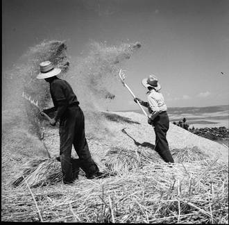 La exposición del fotógrafo Antonio López-Palacios podrá contemplarse en el Pozo de Guadalajara