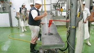 700 trabajadores de mataderos de aves y conejos de Castilla La Mancha, llamados a la huelga la próxima semana