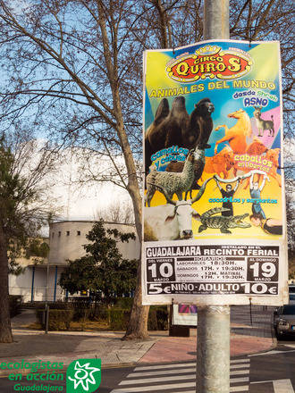 Ecologistas en Acción “alerta” de la llegada a Guadalajara de un circo con animales