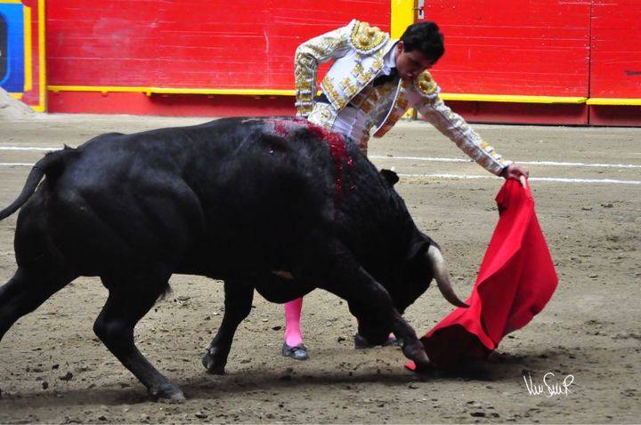 El torero afincado en Fuentelencina Juan de Castilla toma la alternativa en Medellín 