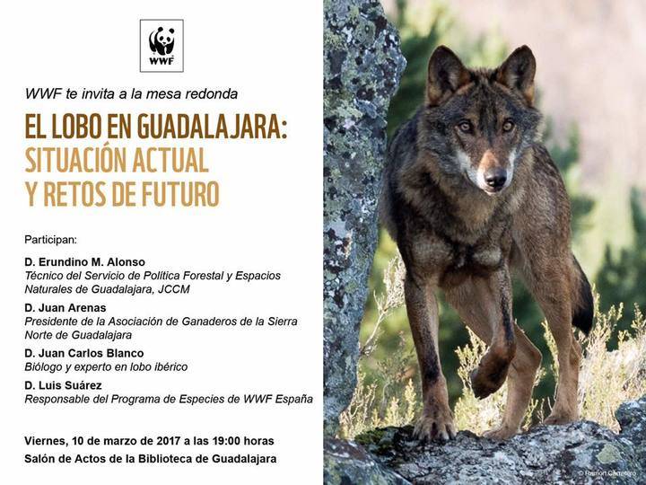 Carta al director: “El cuento del lobo en Guadalajara”