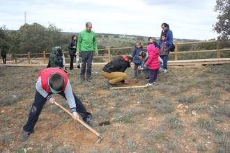 Yebes celebra el Día del Árbol con la plantación de 75 encinas y fresnos en el bosque de Valdenazar