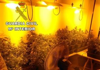 La Guardia Civil detiene a una persona e investiga a otra por cultivar 1.318 plantas de marihuana en Pioz
