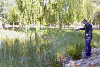 Azuqueca de Henares intensifica la campaña contra los mosquitos