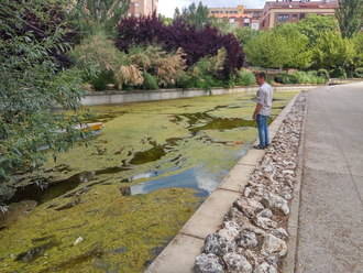 Cs Guadalajara solicita una actuación en la lámina de agua y el entorno del Barranco del Alamín
