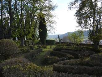 La Universidad de Alcalá y Brihuega convocan una cumbre de expertos sobre miel, lavanda y polinización