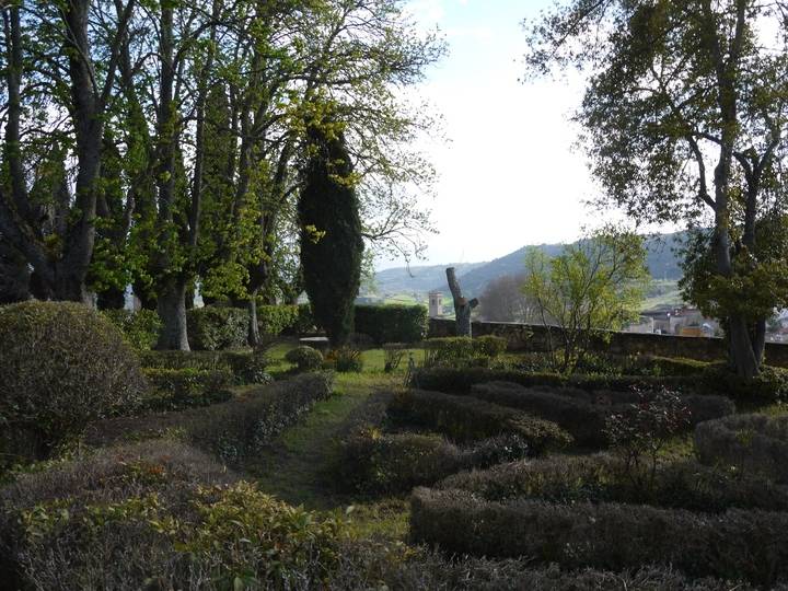 La Universidad de Alcalá y Brihuega convocan una cumbre de expertos sobre miel, lavanda y polinización