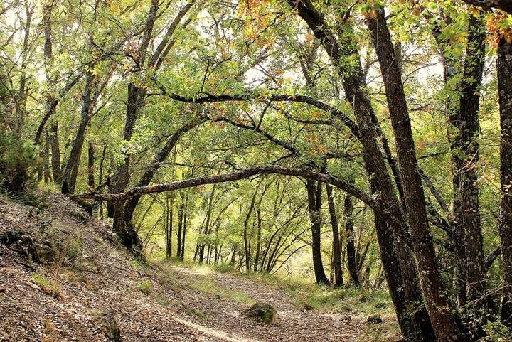Este sábado Valdenazar descubrirá a los visitantes sus méritos en el I Premio Regional de Medio Ambiente