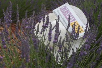 Intenso y sofocante calor para este jueves festivo en Guadalajara