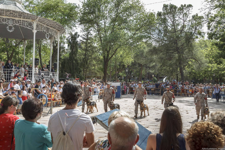 El Jefe de la Unidad Militar de Emergencias inaugura la exposición de material de Guadalajara con motivo del Día de las Fuerzas Armadas