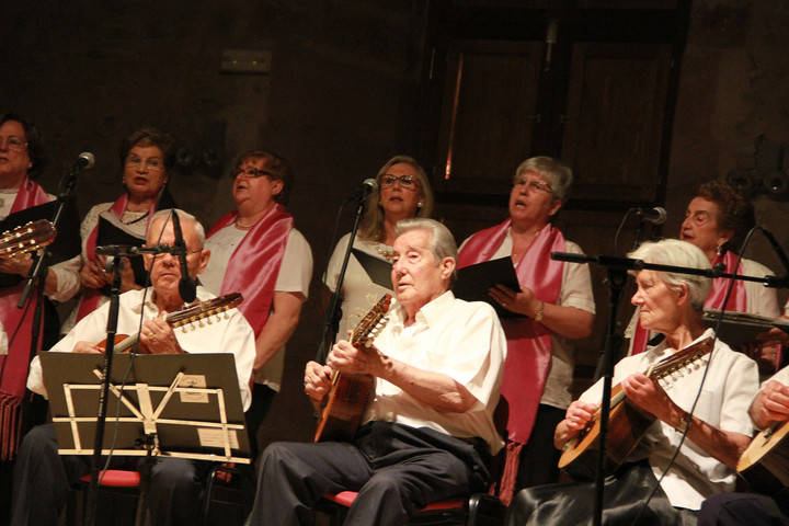 Treinta propuestas en la programación cultural del verano seguntino