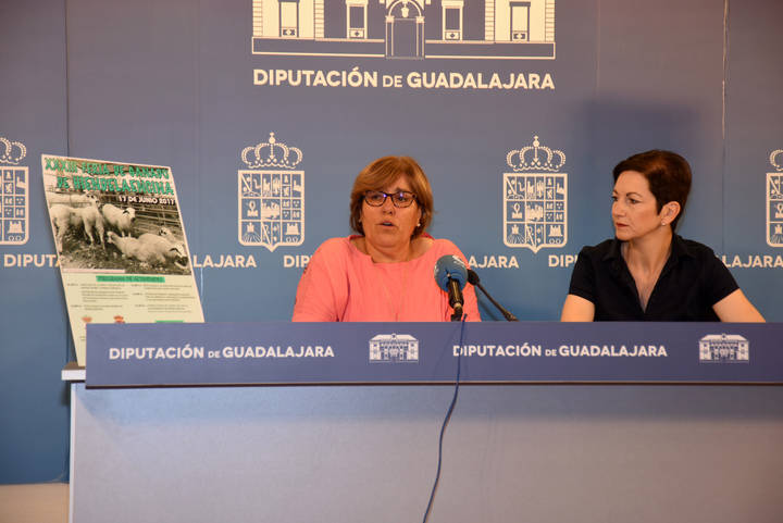 Hiendelaencina celebrará el próximo sábado la XXXIII Feria del Ganado