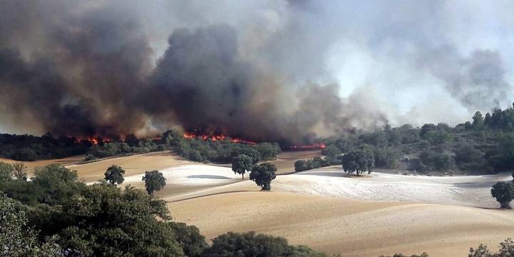 Controlado el incendio forestal declarado este jueves en Almoguera