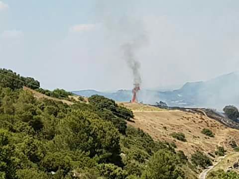 Controlado un incendio forestal declarado en Sacedón