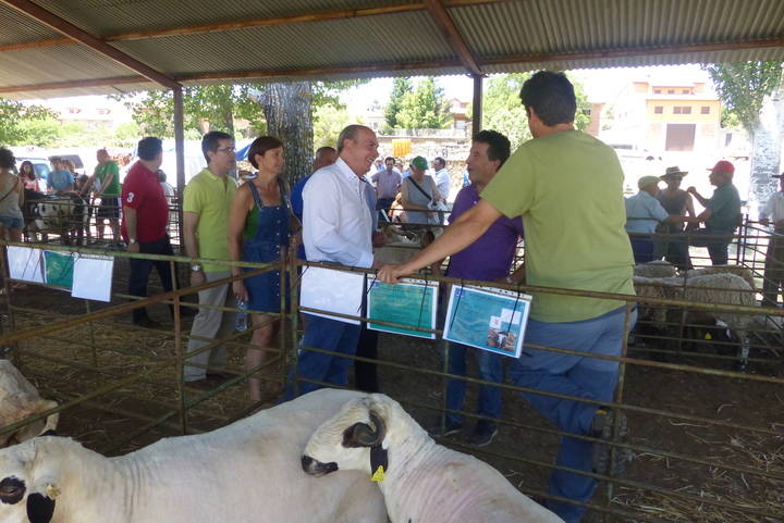 José Manuel Latre destaca la labor de los ganaderos y pastores en la XXXIII Feria del Ganado en Hiendelaencina